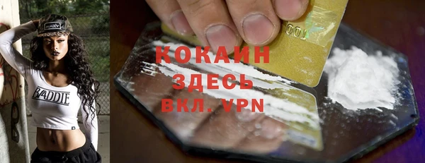 шишки Карталы