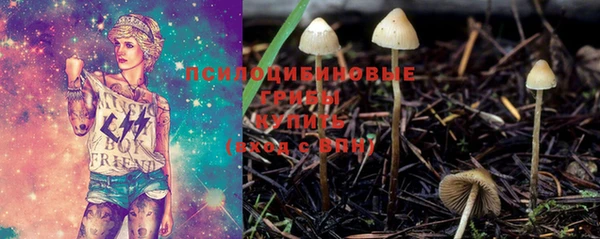 MESCALINE Карпинск