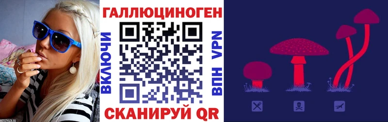 Купить  Верхнеуральск  Псилоцибиновые грибы MAGIC MUSHROOMS 